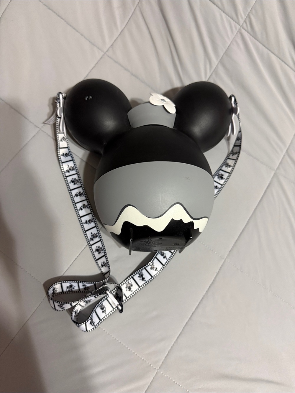 Disneyland Annual Pass-holder Popcorn Bucket